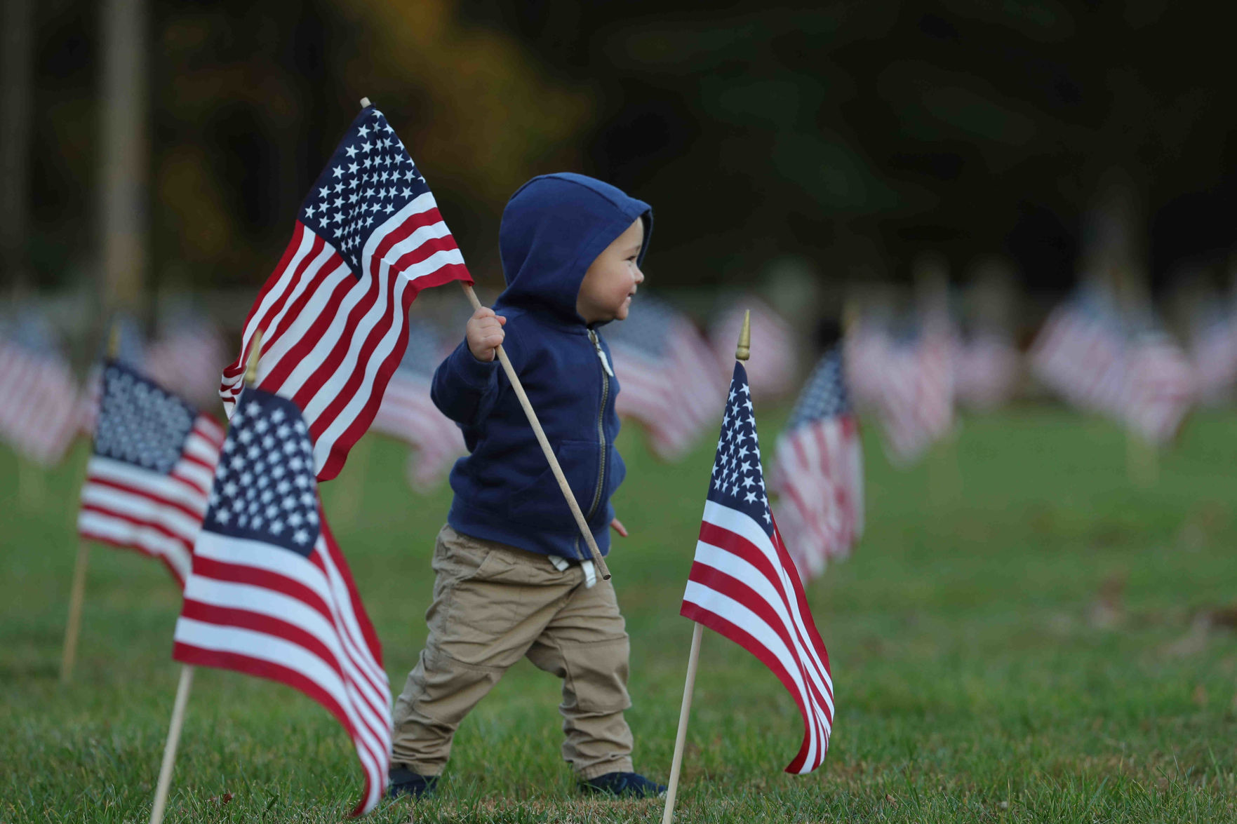 Scouts planted American Flags ahead of Veterans Day